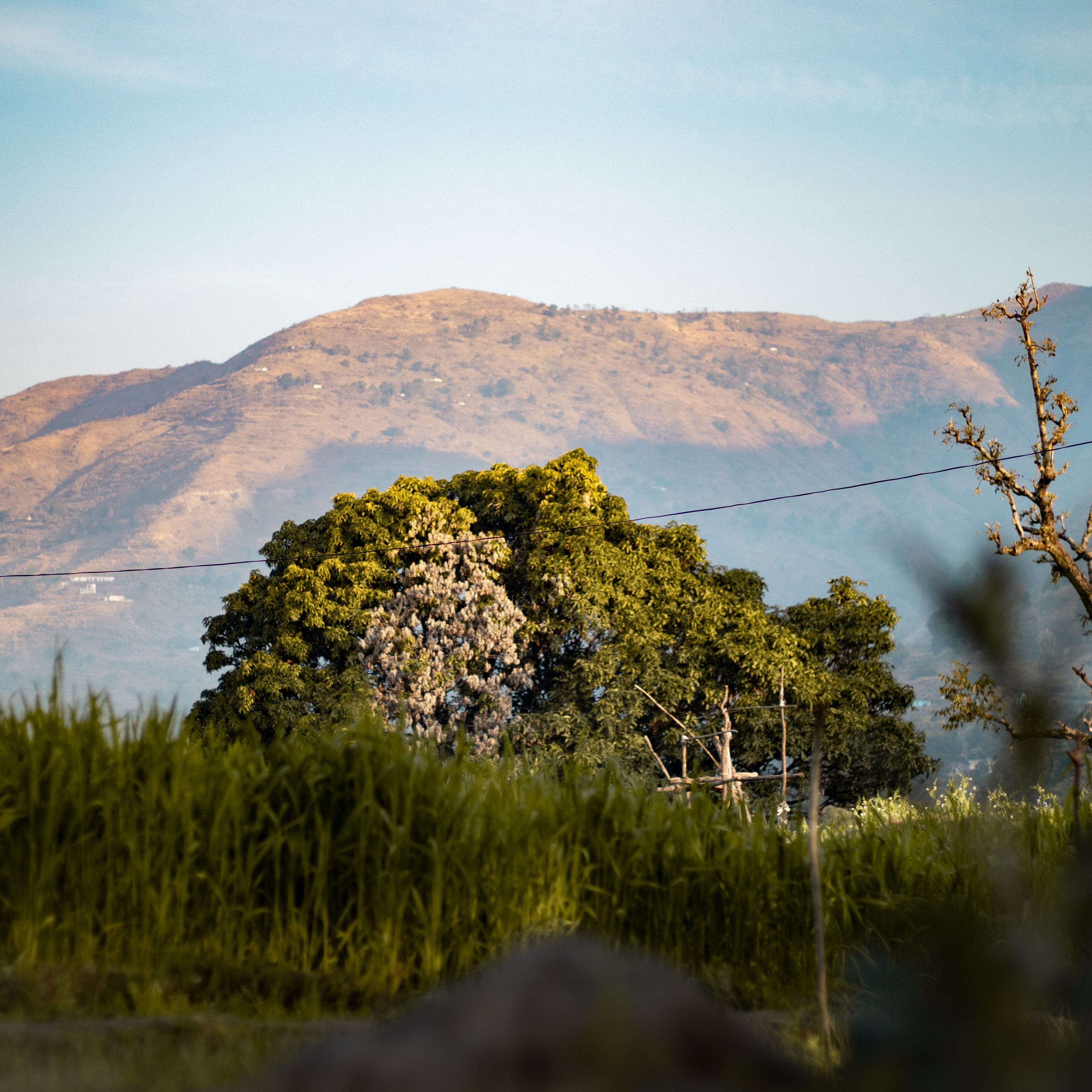 Jim Corbett